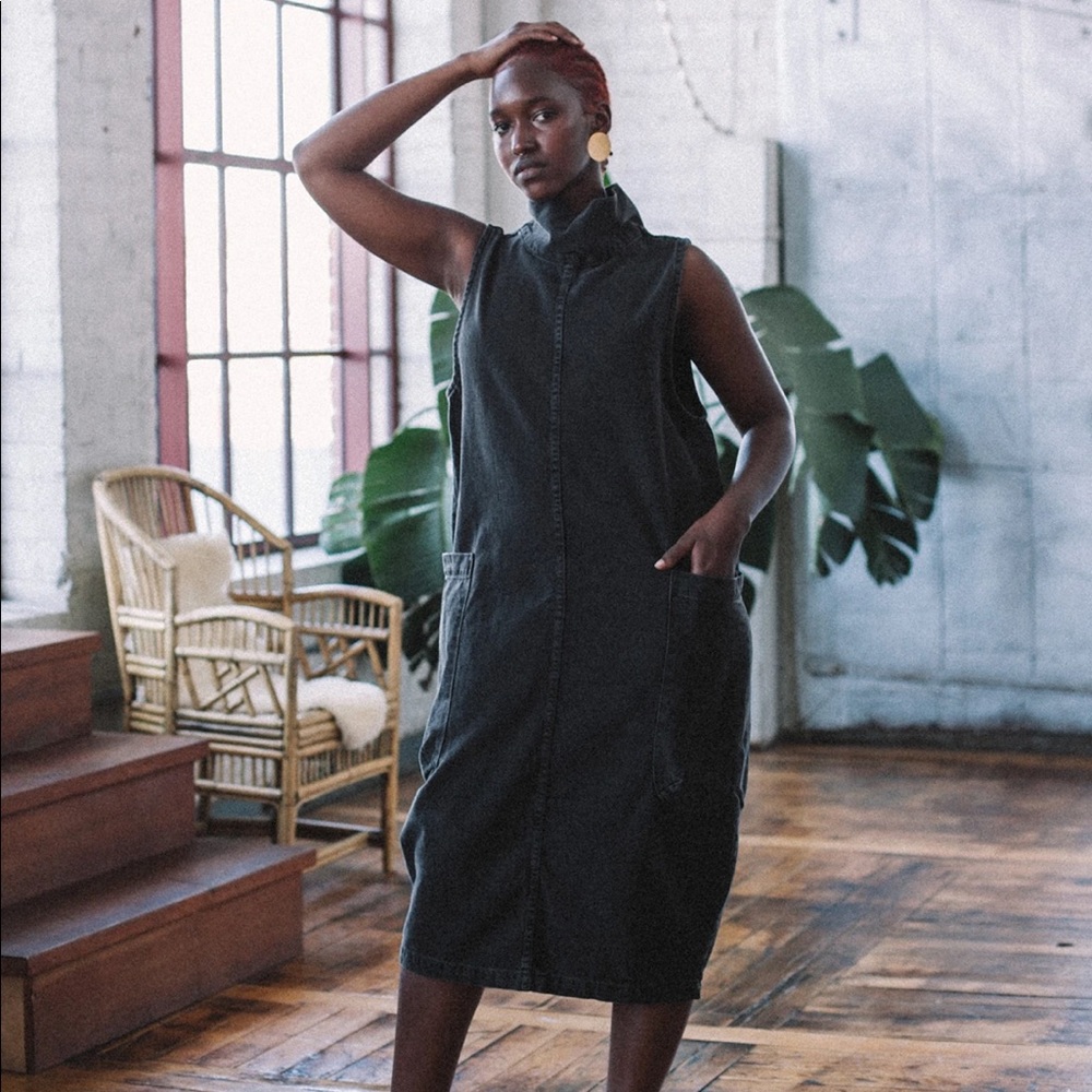 NWT Aliya Wanek denim dress